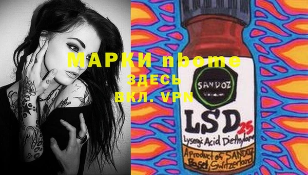 PSILOCYBIN Волосово