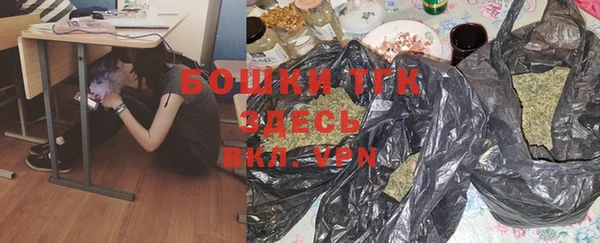 PSILOCYBIN Волосово