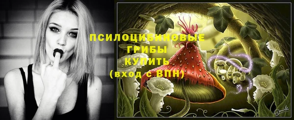 PSILOCYBIN Волосово