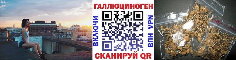 Галлюциногенные грибы Magic Shrooms  сколько стоит  Каспийск 